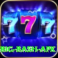 bbl big bash apk Premium v1.5.7