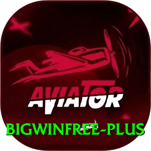 bigwinfree Pro Edition v2.9.3 - 2