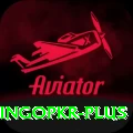 bingopkr Apps (Tools & Injectors) Plus v4.9.3