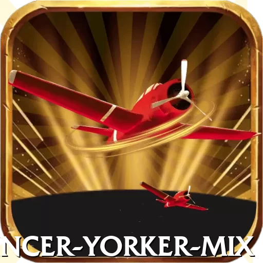 bouncer yorker mix Plus Edition v1.6.4 - 2