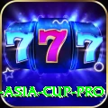cricket asia cup Premium APK v1.1.1