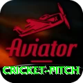 cricket pitch Premium Plus v3.3.8