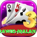 dawid malan VIP Edition v4.5.5