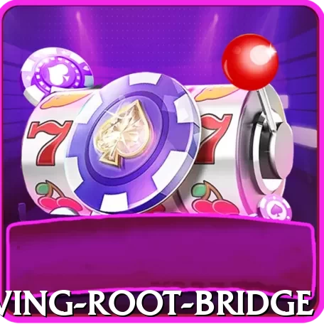 dawki living root bridge App - 2