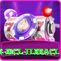 dhampus rice terrace Master v4.6.7
