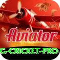 eng cricket Ultimate Gaming App
