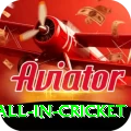 fastest ball in cricket Premium v4.0.1