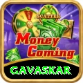 gavaskar Pro Edition v5.1.8
