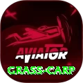 grass carp Pro Edition v2.7.6