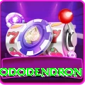 helambu rhododendron Games (Casino & Earning) Max v1.6.2