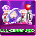 herschelle gibbs VIP Slots