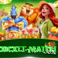 india cricket match Master v4.1.7