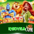 indvsa Pro v4.2.1