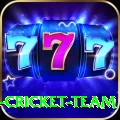 ireland cricket team VIP v2.4.4
