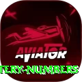 mega millions jackpot lottery numbers Master v4.9.6