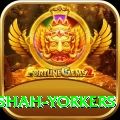 naseem shah yorkers Deluxe v1.4.7
