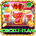 netherlands cricket team Deluxe v2.4.4