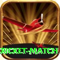 next cricket match VIP Edition v4.6.4