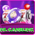 online gambling Pro Edition v1.7.7