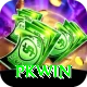 PKWin Deluxe v1.9.4