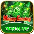 pkwin - VIP v5.4.8
