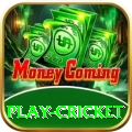 play cricket VIP v2.2.3