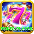 poker player VIP Pro v2.4.3