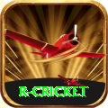 r cricket Max Pro v4.7.3