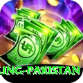 responsible gambling pakistan Elite Pro v3.0.1
