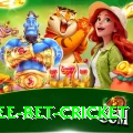 risk free bet cricket Apps (Tools & Injectors) Elite v1.8.2