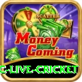 smartcric live cricket VIP v3.4.8