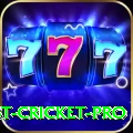test cricket - Gaming Ultimate