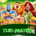 test match Master v3.2.4
