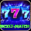 to day cricket match Max v3.3.1