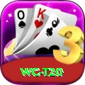 wc t20 Deluxe Pro v2.7.0