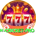 willow cricket Bonus VIP v1.5.7