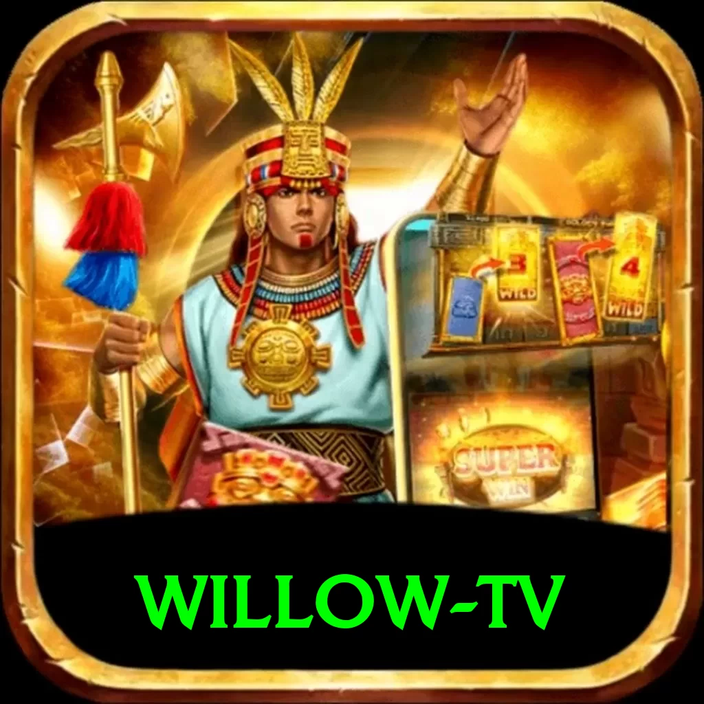 willow tv VIP Pro v3.4.8 - 2